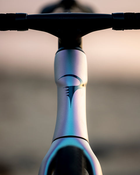 Pinarello Dogma GR Gravel Rahmenset