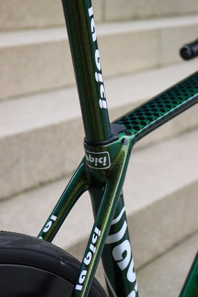 La Bici Endurance SL Custom Carbon Disc