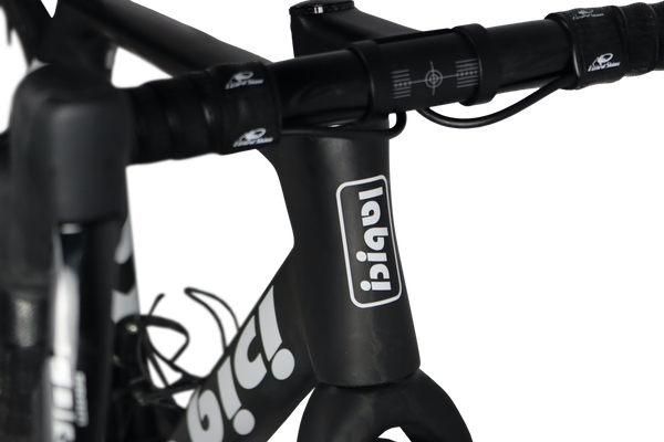La Bici Endurance Disc SL Carbon