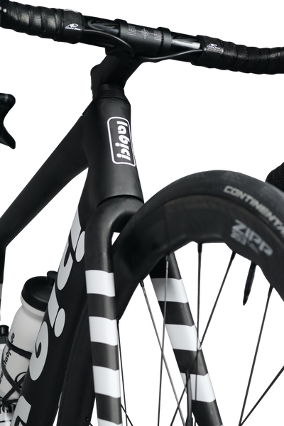 La Bici Endurance Disc SL Carbon
